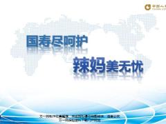 国寿辣妈精准画像需求分析提供方案产品菜单19页.pptx