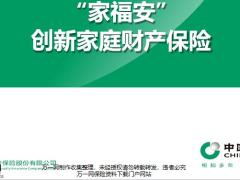 国寿家福安创新家庭财产保险市场背景产品介绍推广优势21页.pptx