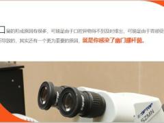 每日健康胃不好的人1种果子泡水早晚来2杯胃病全部一扫而光11页.ppt