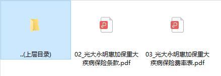 光大永明惠加保重大疾病保险条款费率表.rar