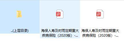 海保人寿及时雨定期重大疾病保险2020版条款费率表.rar