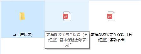 前海聚源宝两全保险分红型条款费率表.rar