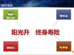 阳光人寿阳光升终身寿险设计要点基础知识31页.pptx
