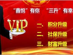 2020理财产说会三升星级客户积分兑礼专享会国寿鑫悦组合含备注39页.pptx