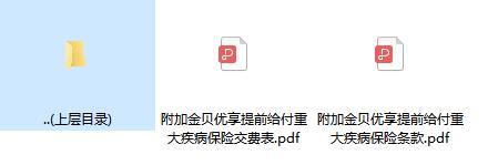 太平洋附加金贝优享提前给付重大疾病保险条款费率.rar
