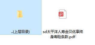 太平洋人寿金贝优享终身寿险条款.zip