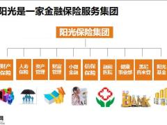阳光人寿走进综合金融信保产品介绍车险基础知识安心系列卡单介绍39页.pptx
