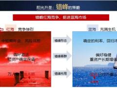 阳光人寿阳光升新品推动规划30页.pptx