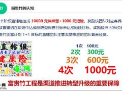 最强直辖组养成计划富贵竹的认知工程达成情况做法未来发展15页.pptx