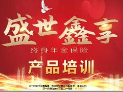 百年从社保养老看盛世鑫享产品培训37页.pptx
