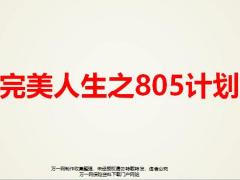 国寿完美人生之805计划整合销售805计划销售逻辑33页.pptx