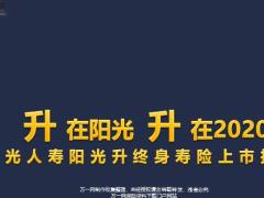 阳光人寿阳光升终身寿险背景背景基础知识35页.pptx