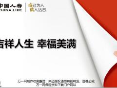 国寿吉祥卡责任解析系列主打产品介绍促成卡折方法25页.pptx