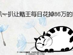 扒一扒让赌王每日花掉86万的医院21页.pptx