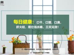 每日健康口干口苦口臭肝火旺用它泡水喝三天见效4页.ppt