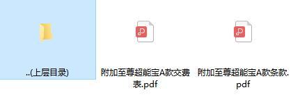 太平洋附加至尊超能宝A款条款费率.rar