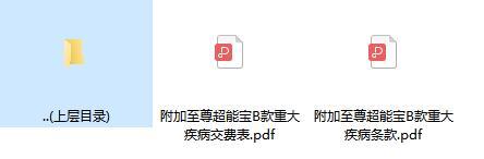 太平洋附加至尊超能宝B款重大疾病条款费率.rar