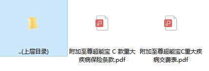 太平洋附加至尊超能宝C款重大疾病保险条款费率.rar