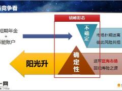 阳光人寿阳光升终身寿险上市报告背景设计要点设计要点52页.pptx