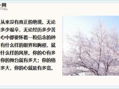 每日鸡汤你的格局决定你的结局.zip