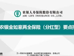 农银金如意两全保险分红型要点指引10页.pptx