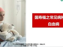 国寿福之常见病种介绍白血病12页.pptx
