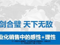 SPINFABE专业化销售中的感性理性19页.pptx