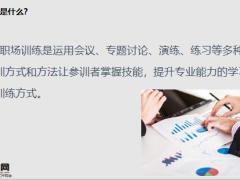 职场训练之制式训练实操促增员16页.pptx