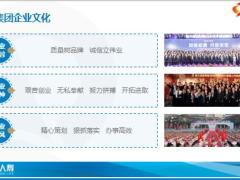 恒大人寿2020简介34页.pptx