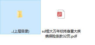 恒大万年欣终身重大疾病保险条款32页.zip