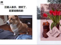 每日快乐早会20年6月24日使用12页.ppt