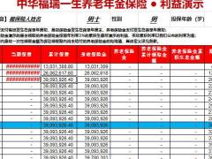中华福瑞一生自动计划书.xlsx