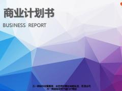 静态商业计划书PPT模板30页.pptx