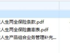 鼎诚福佑人生两全保险条款费率.rar