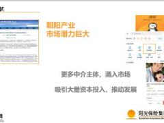 阳光亲子保孝顺保产品背景优势29页.pptx
