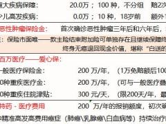 中英人寿臻爱守护药安康保障计划自动计划书.xlsx