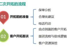 孤单孤儿保单二次开发含备注57页.pptx