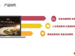 阳光人寿臻爱倍致产品特色介绍案例演示运营规则14页.pptx