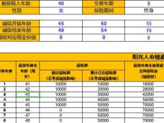阳光人寿臻鑫倍致终身寿险计算器速查表.xlsx