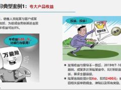 远离销售误导典型案例合规要点风险提示20页.pptx