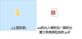 阳光人寿附加一路阳光重大疾病保险条款.rar