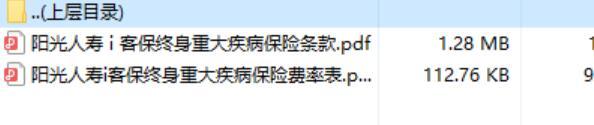 阳光人寿i客保终身重大疾病保险条款费率表.rar