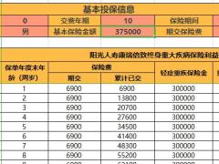 阳光人寿康瑞倍致终身重大疾病保险计算器家庭版通用速查表.xlsm