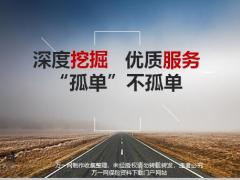 深度挖掘优质服务孤单不孤单10页.pptx