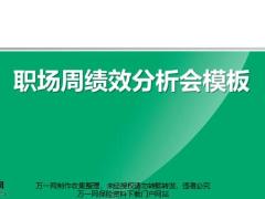 职场周绩效数据分析问题解析功能组汇报工作重点全预算目标30页.pptx