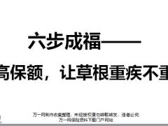 六步成福高保额让草根重疾不重16页.pptx