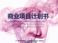 商业项目计划书PPT模板22页.pptx