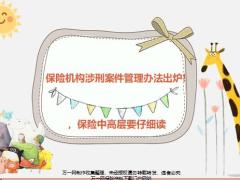 保险机构涉刑案件管理办法出炉17页.pptx