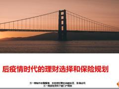2020后疫情时代的理财选择和保险规划108页.pptx