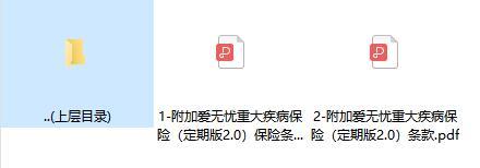 北大方正人寿附加爱无忧重大疾病保险定期版2.0条款.rar